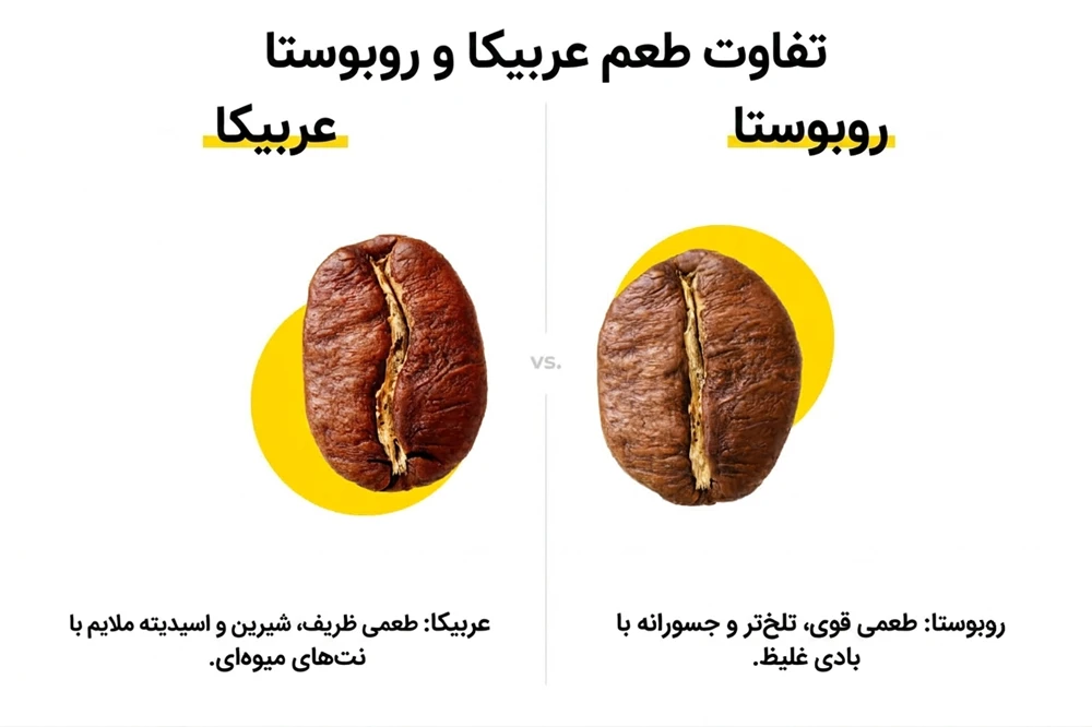 تفاوت طعم عربیکا و روبوستا - آرامور Aramor