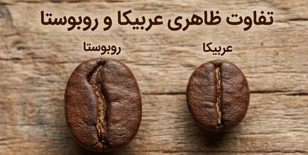 تفاوت ظاهری عربیکا و روبوستا - آرامور Aramor