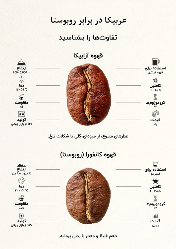 تفاوت عربیکا و روبوستا چیست؟ - آرامور Aramor