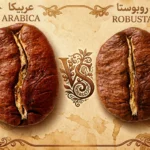 عربیکا یا روبوستا؟ تفاوت، کافئین، طعم و بهترین ترکیب برای هر سلیقه